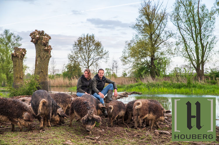 Mangalica varken